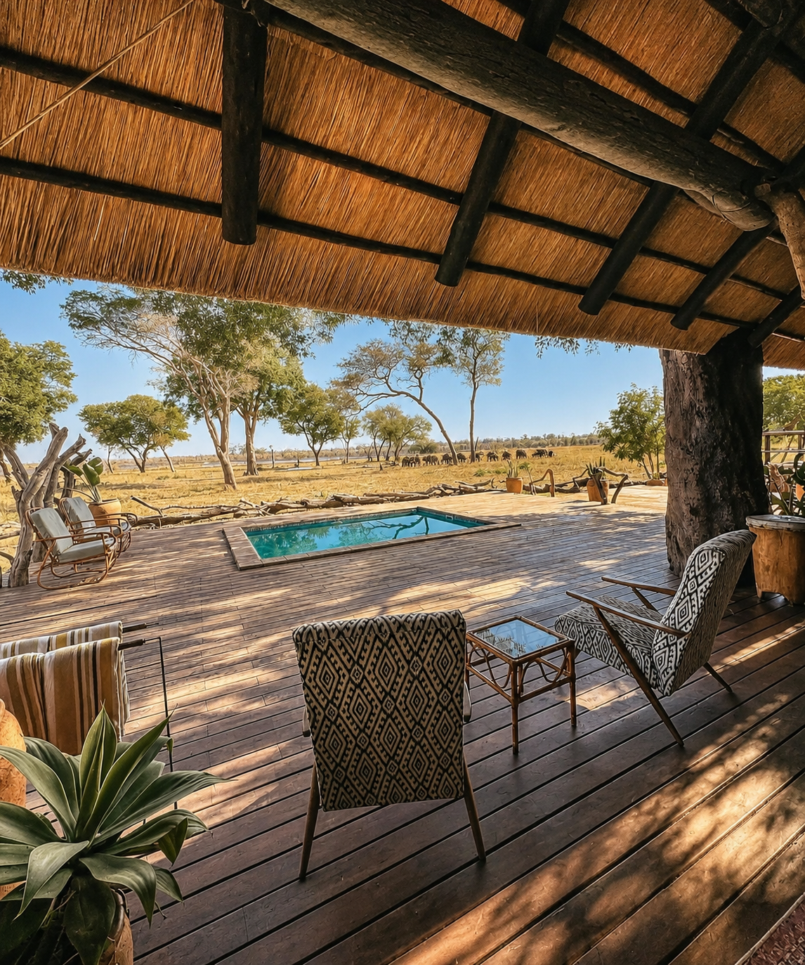 Botswana safari lodge deck overlooking the Delta landscape