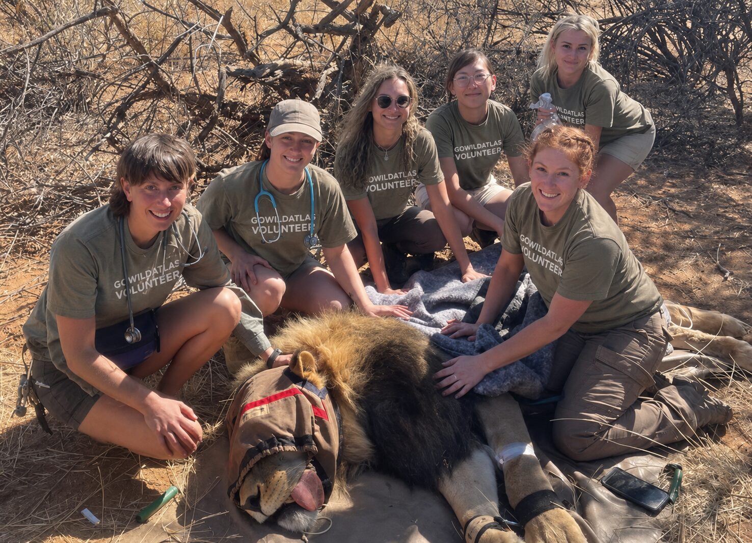 Wildlife vet at work