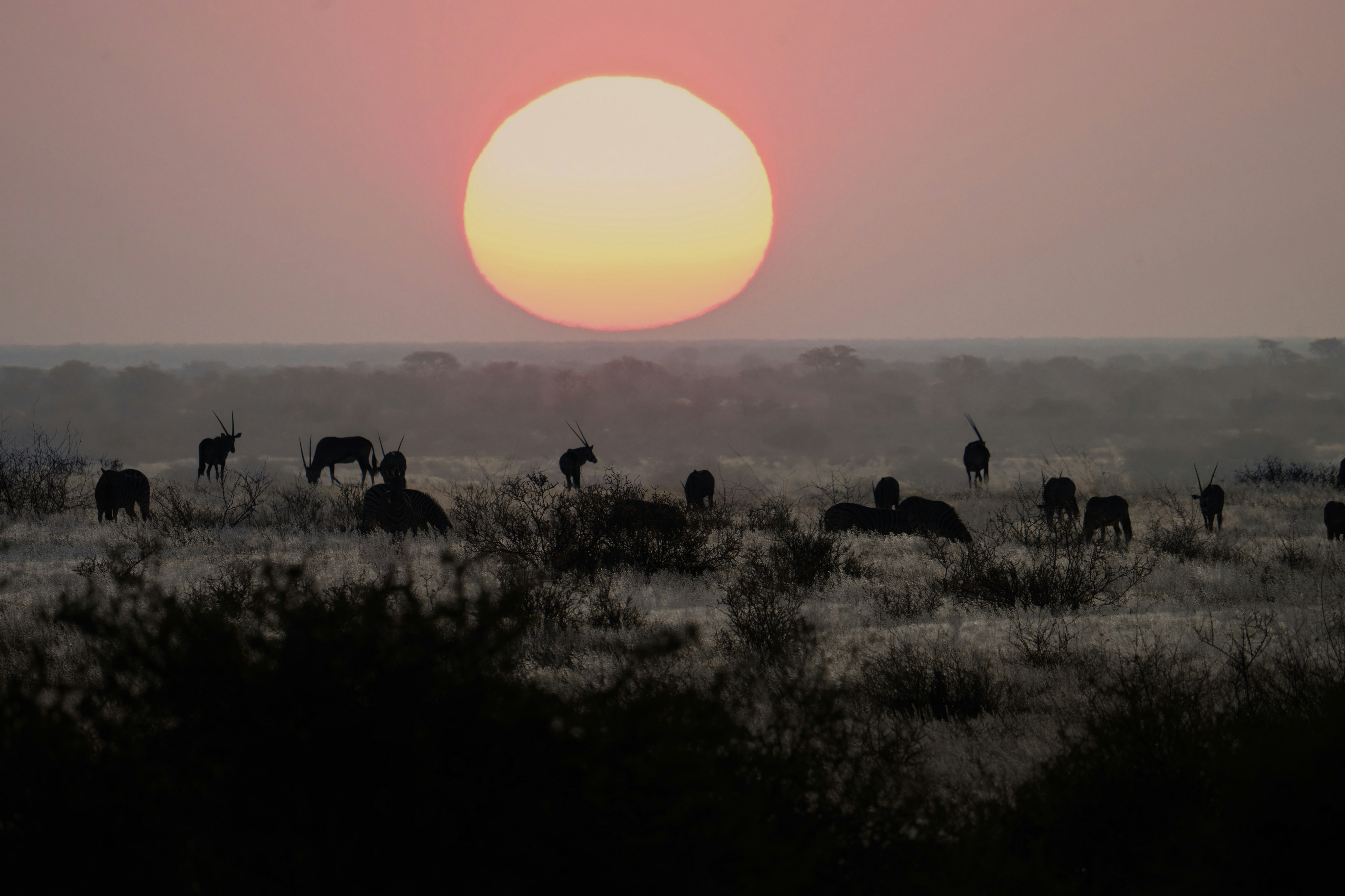 Namibia desert sunset