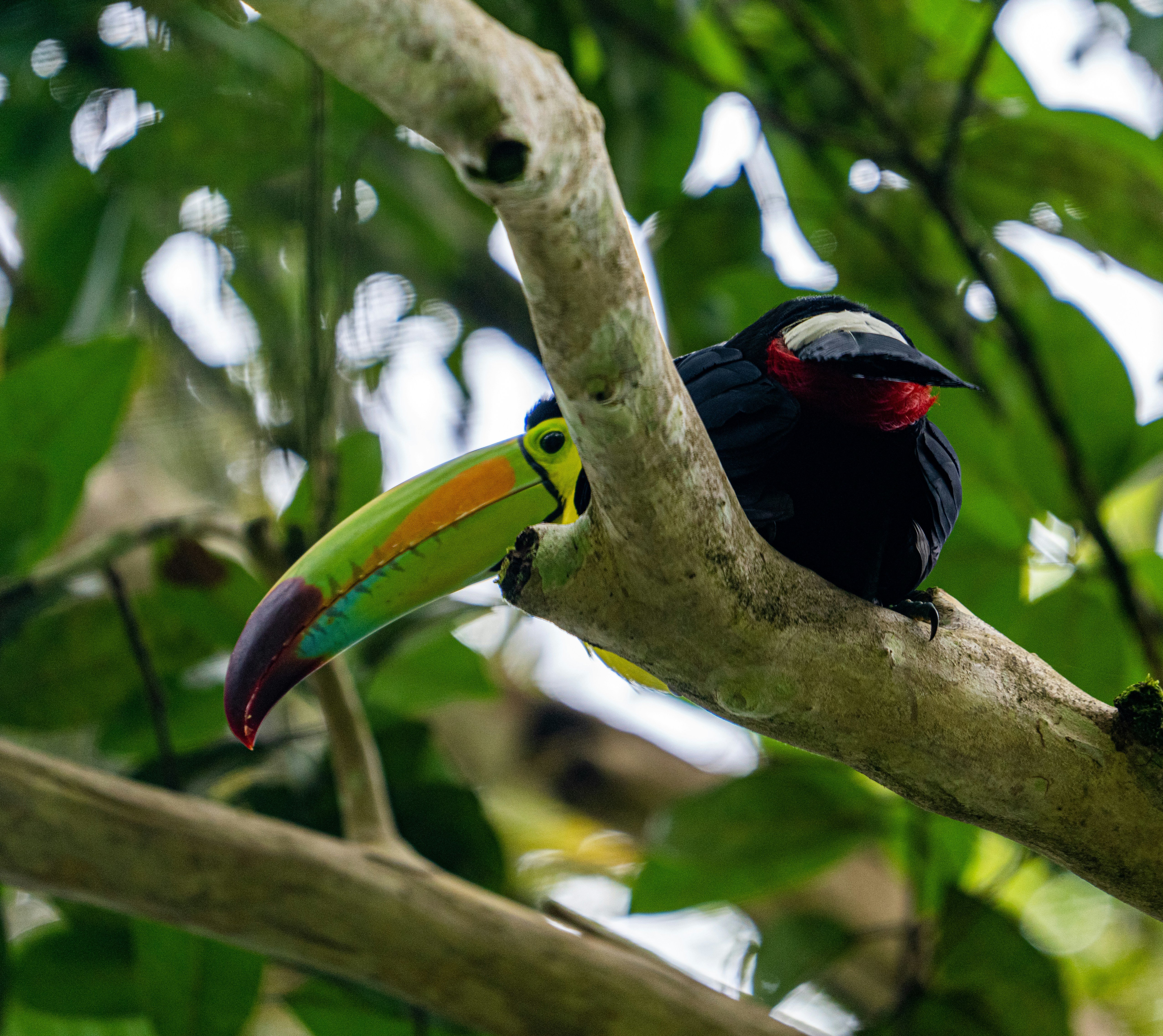 Ecuador program