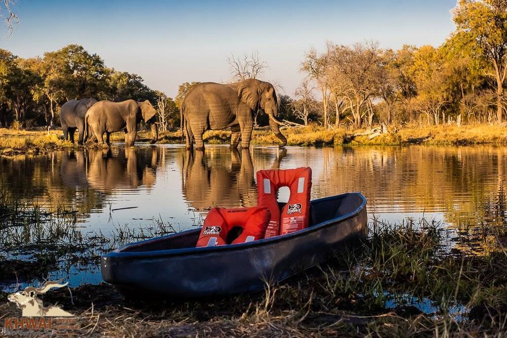 Mokoro survey Okavango