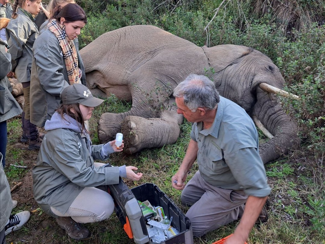 Namibia program