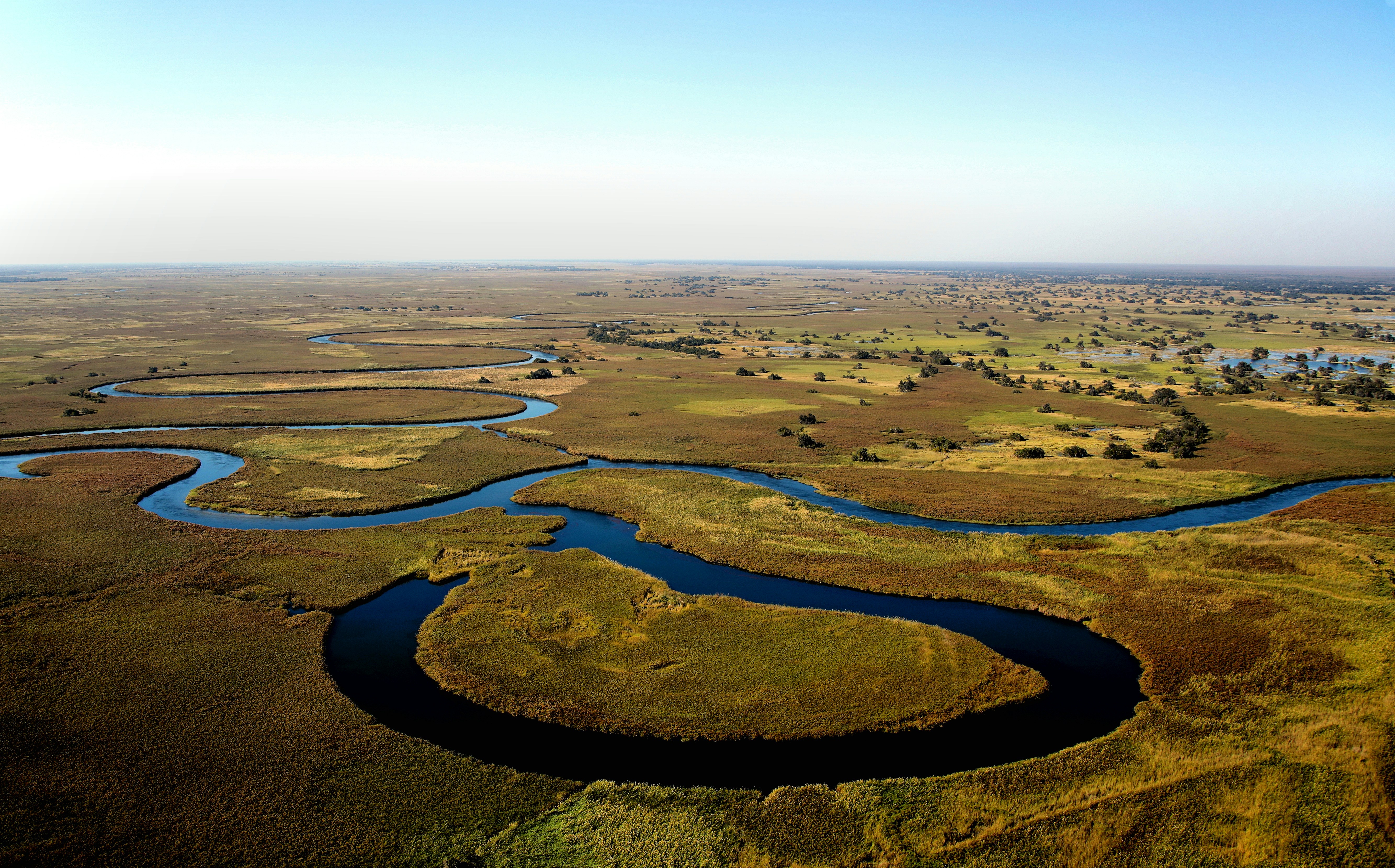 Botswana wetland wildlife habitat
